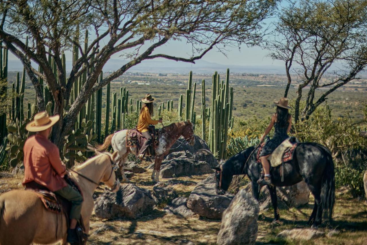 Our Habitas San Miguel De Allende Bandita Eksteriør bilde