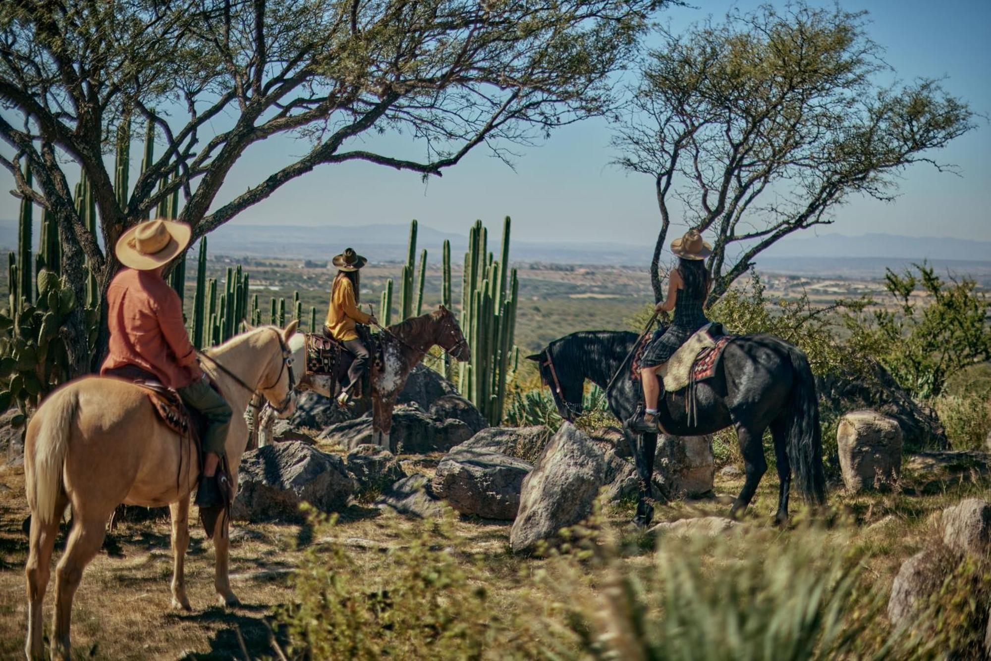 Our Habitas San Miguel De Allende Bandita Eksteriør bilde